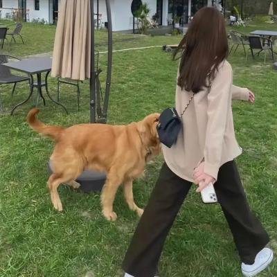 少林七崁