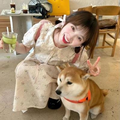 房车奇遇
